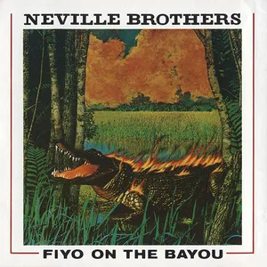 Fiyo on the bayou